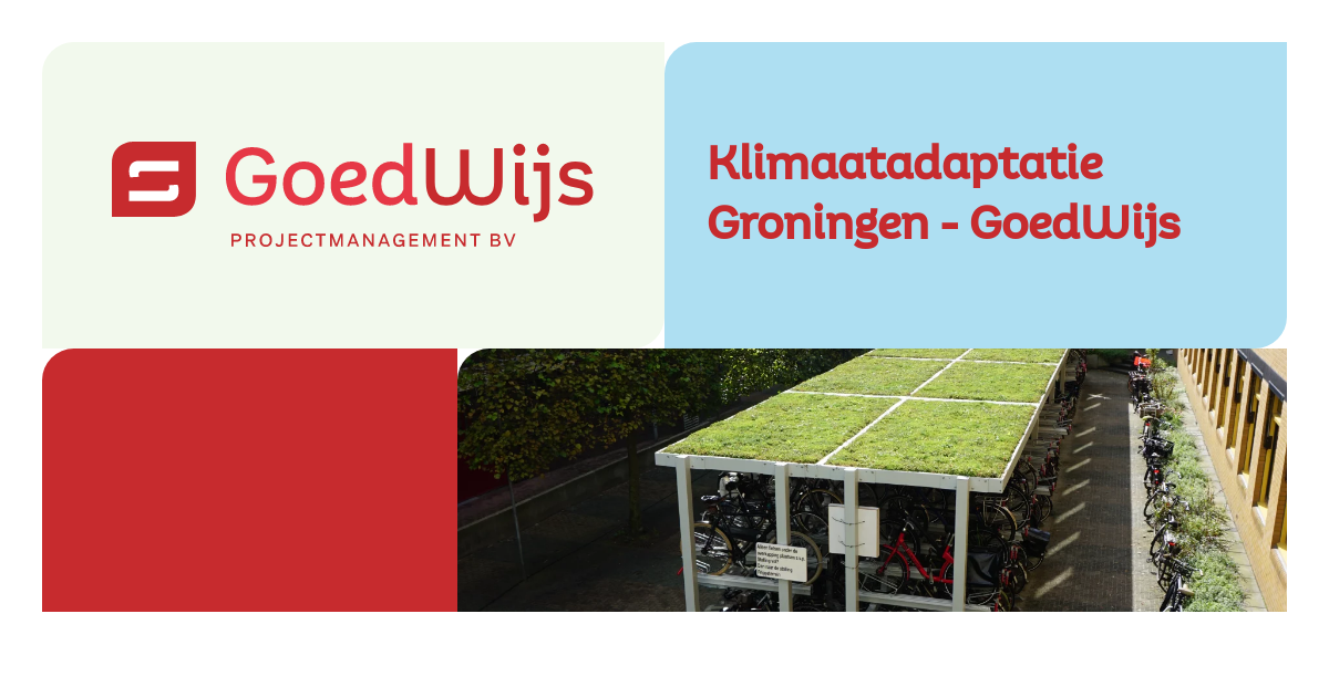 Klimaatadaptatie Groningen - GoedWijs - GoedWijs Projectmanagement